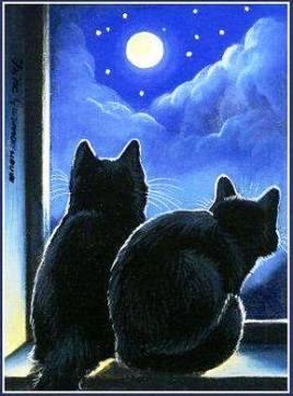 dibuix. dos gats mirant la lluna finestra